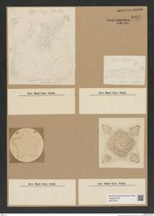 Diatomeae indet. Zeichnungen Sammlung Grunow Nr. 6931 (NHMW-BOT-W0375812)
